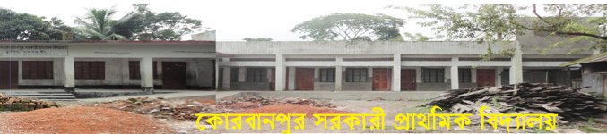 কোরবানপুর সরকারি প্রাথমিক বিদ্যালয়ের দৃশ্য